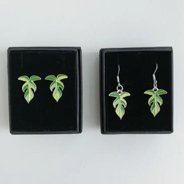 boucles-doreilles-plante-philodendron-florida-boites