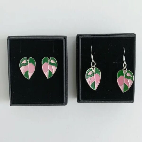 boucles-doreilles-plante-philodendron-pink-princess-boite