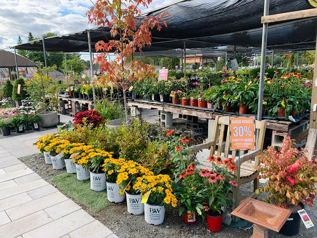 Communiquez avec les spécialistes de Jardin Eden à Sherbrooke