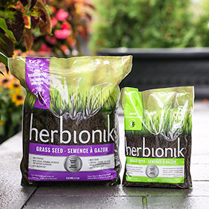 herbionik