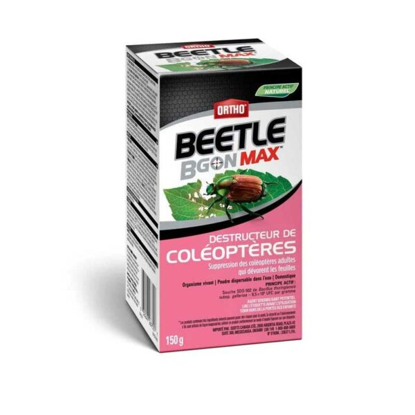 ortho-beetle-b-gon-max-destructeur-de-coleoptere