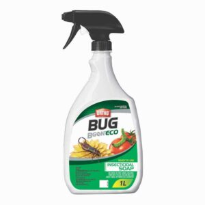 ortho-bug-b-gon-eco-savon-insecticide-pret-a-lemploi