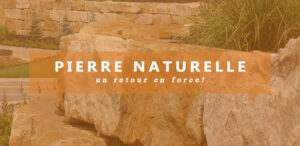 pierre-naturelle-un-retour-en-force