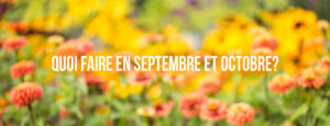 quoi-faire-en-septembre