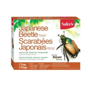 safers-piege-a-scarabee