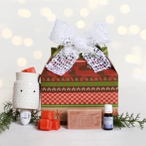 ensemble cadeau comprenant chauffe-parfum, savon, huile essentielle, cire