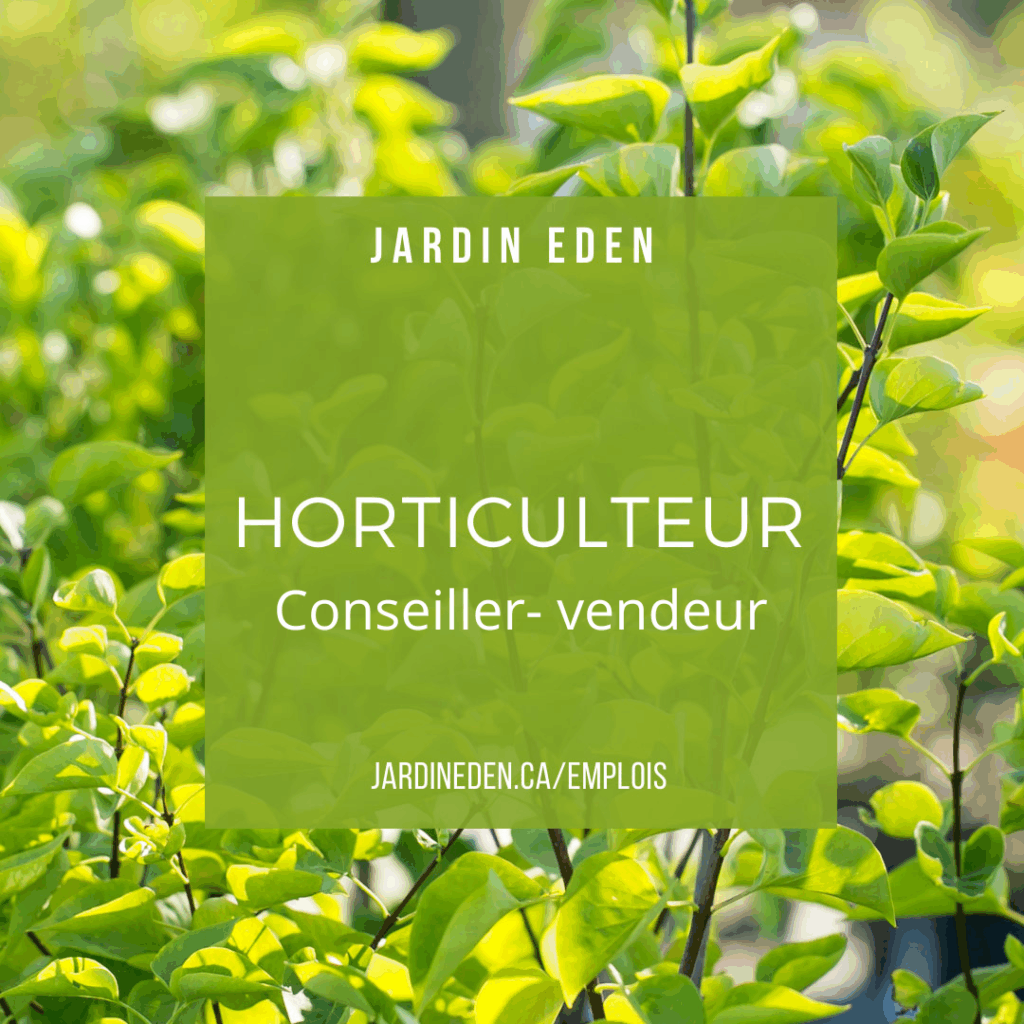 Conseiller- vendeur