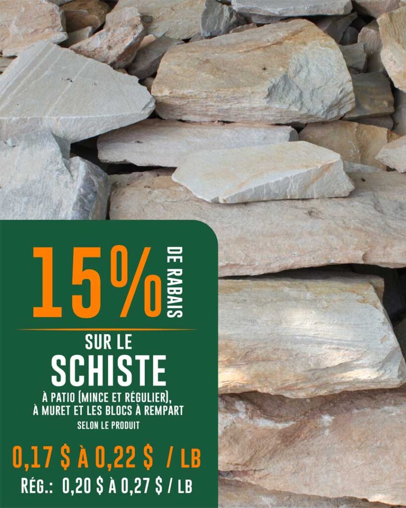 promo-schiste