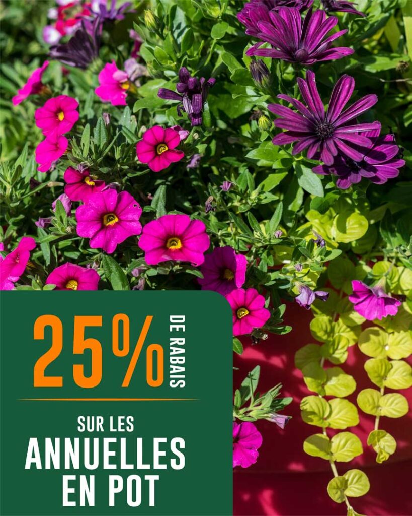 VF_Groupex_Jardin-Eden_Visuel-MS_promo-du-26-juin_T-27912-01