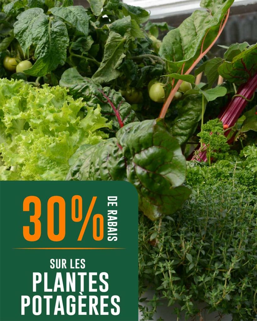 VF_Groupex_Jardin-Eden_Visuel-MS_promo-du-26-juin_T-27912-02