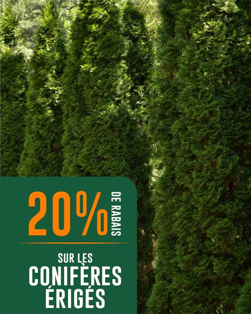 VF_Groupex_Jardin-Eden_Visuel-MS_promo-du-26-juin_T-27912-03