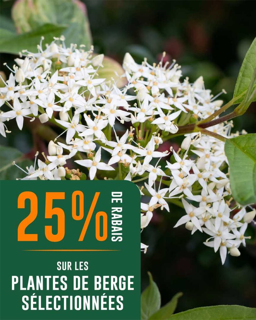 VF_Groupex_Jardin-Eden_Visuel-MS_promo-du-26-juin_T-27912-04