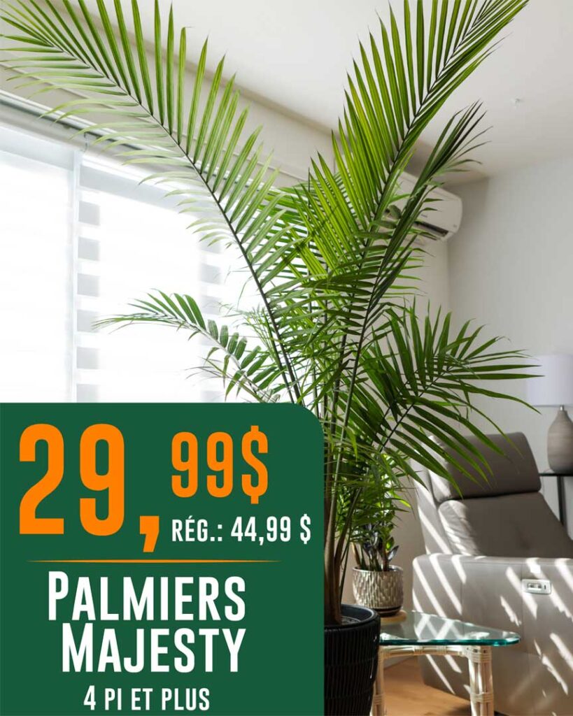 VF_Groupex_Jardins-Eden_Visuel01_Promos-du-26-juin_T-27815