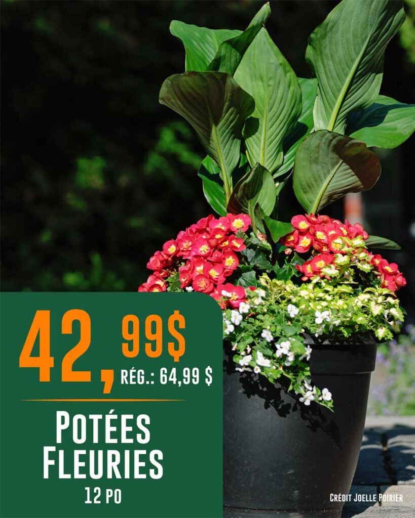 VF_Groupex_Jardins-Eden_Visuel03_Promos-du-26-juin_T-27662
