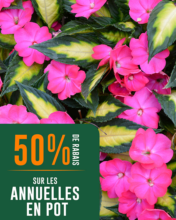 rabais-annuelles-pot-eden