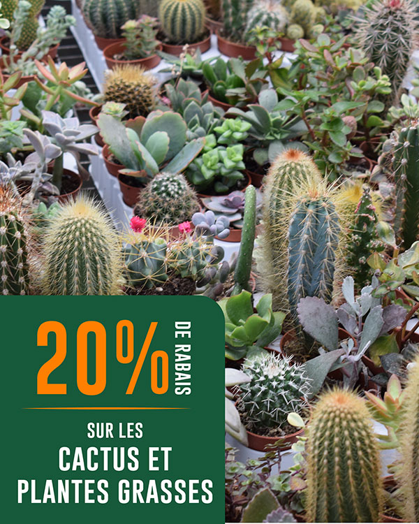 rabais-cactus-eden