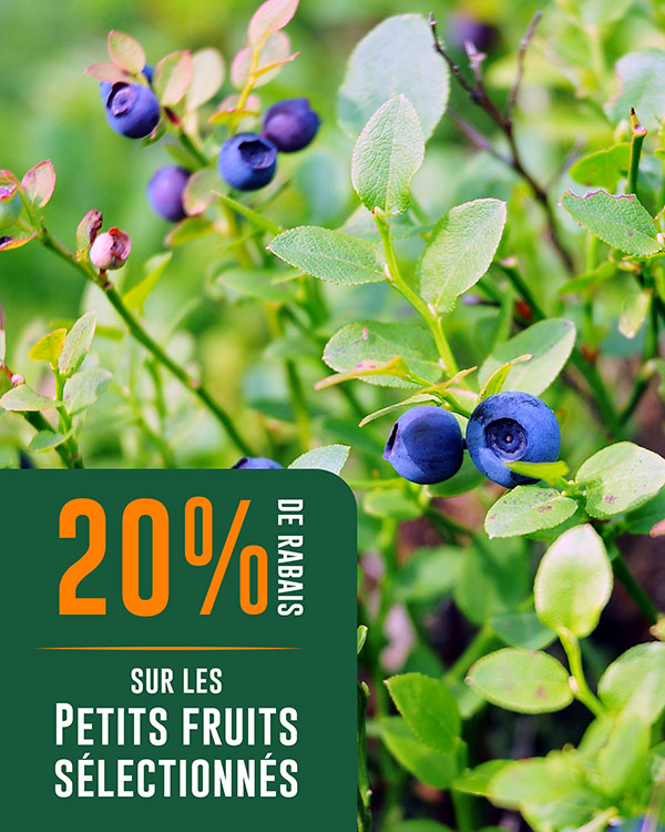 rabais-petits-fruits-eden