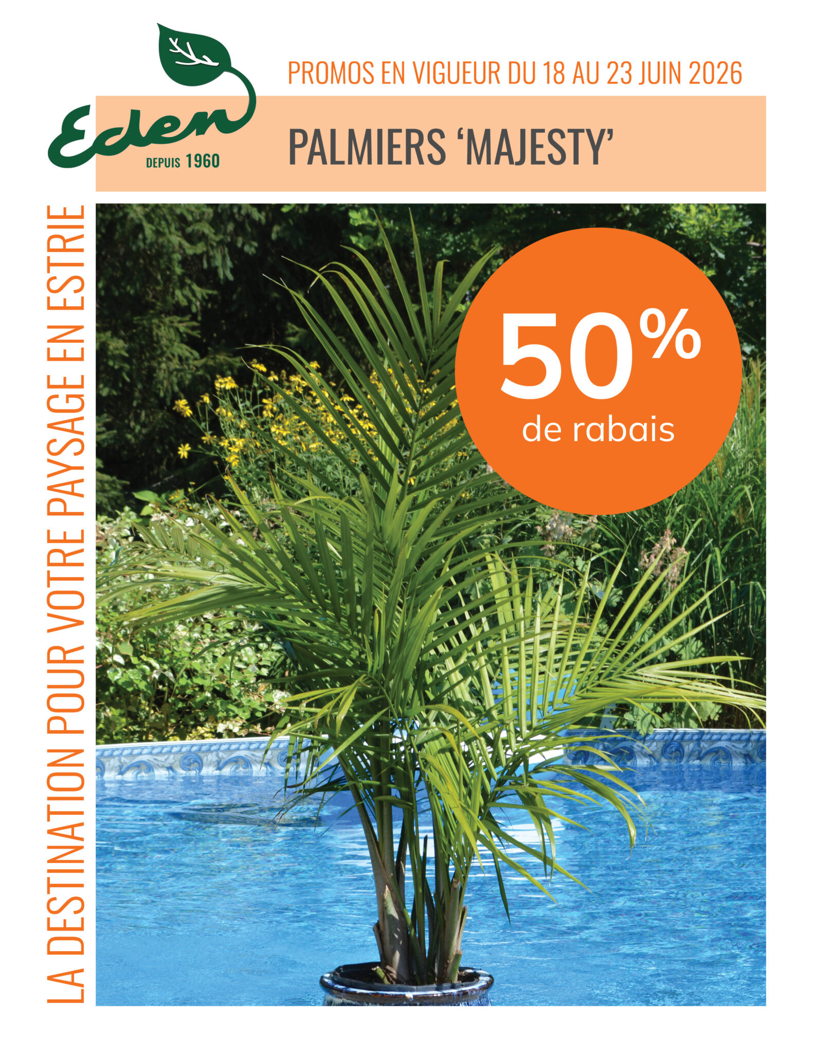palmiers-majesty-18 au 23-juin-2026