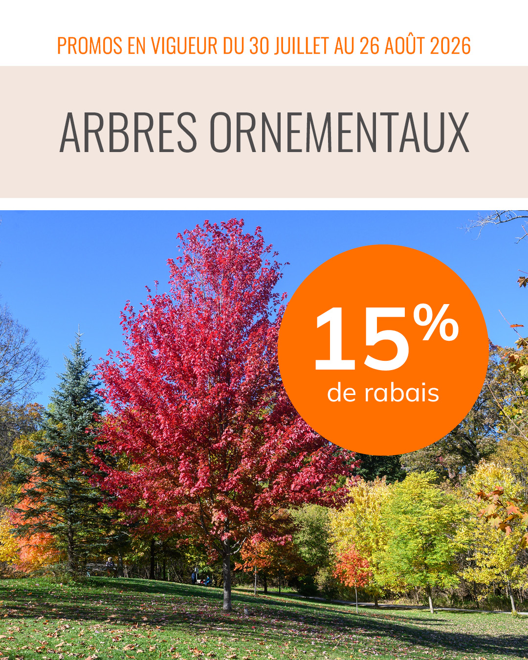promo-30-juillet-26-aout-arbres-ornementaux