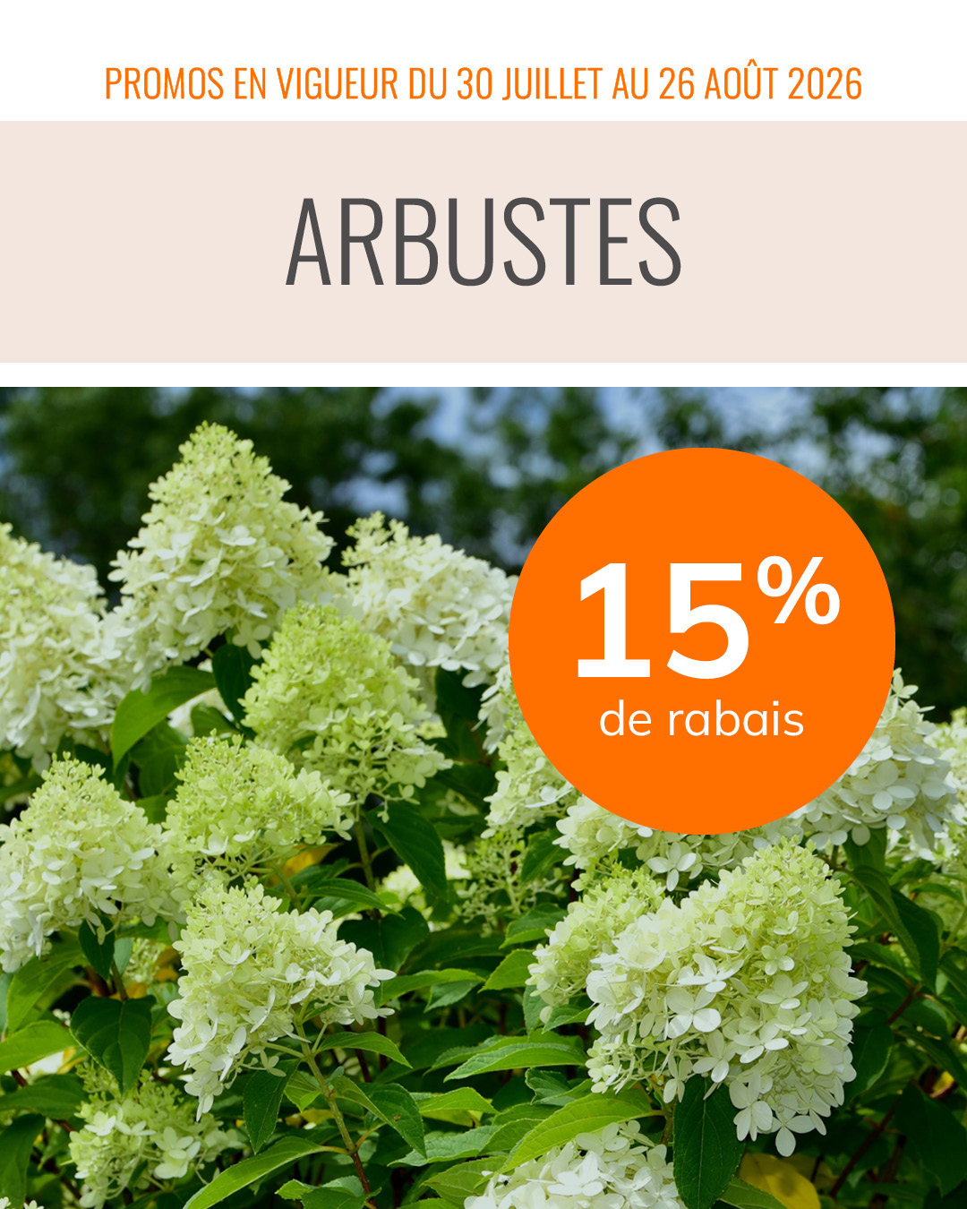 promo-30-juillet-26-aout-arbustes