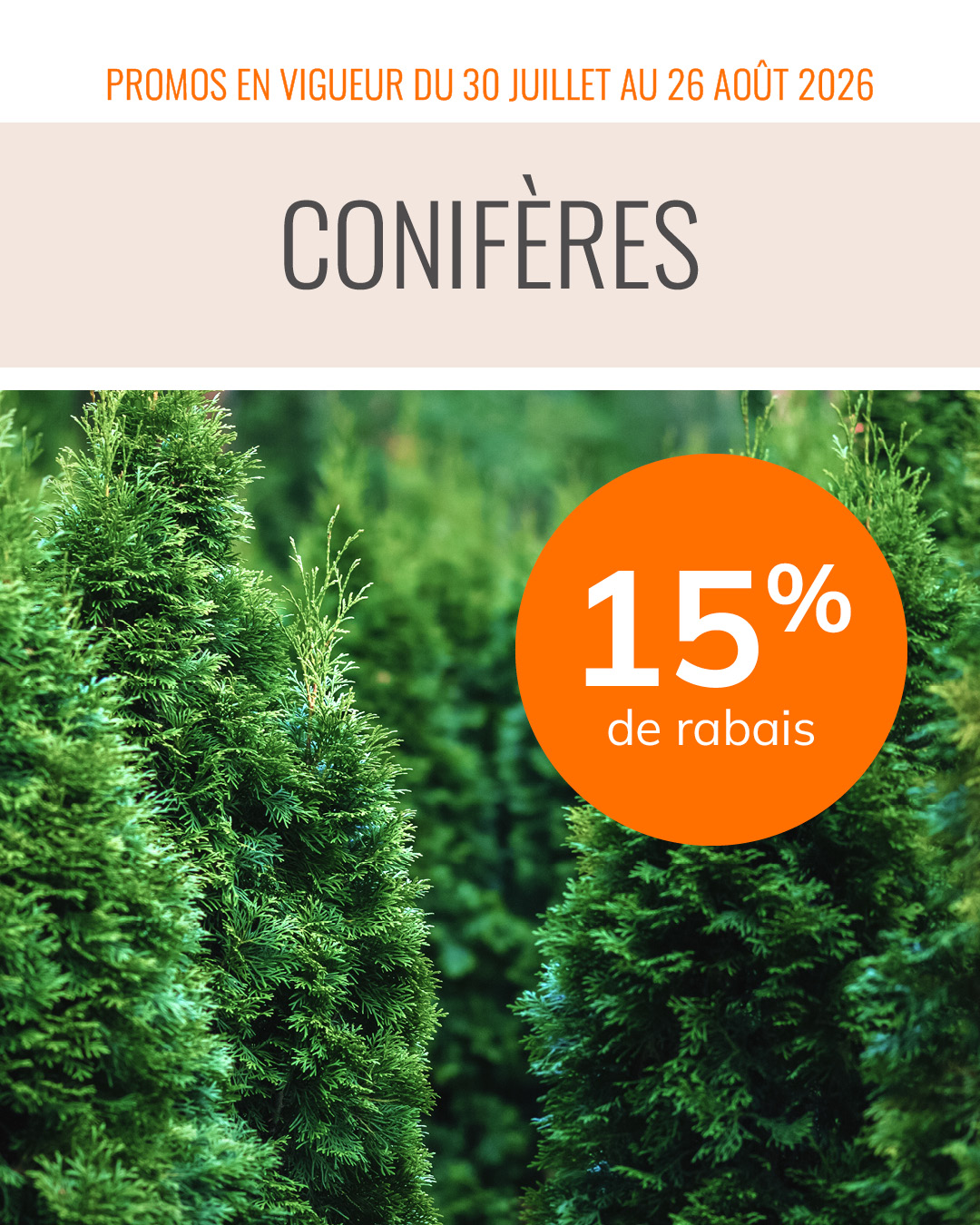 promo-30-juillet-26-aout-coniferes