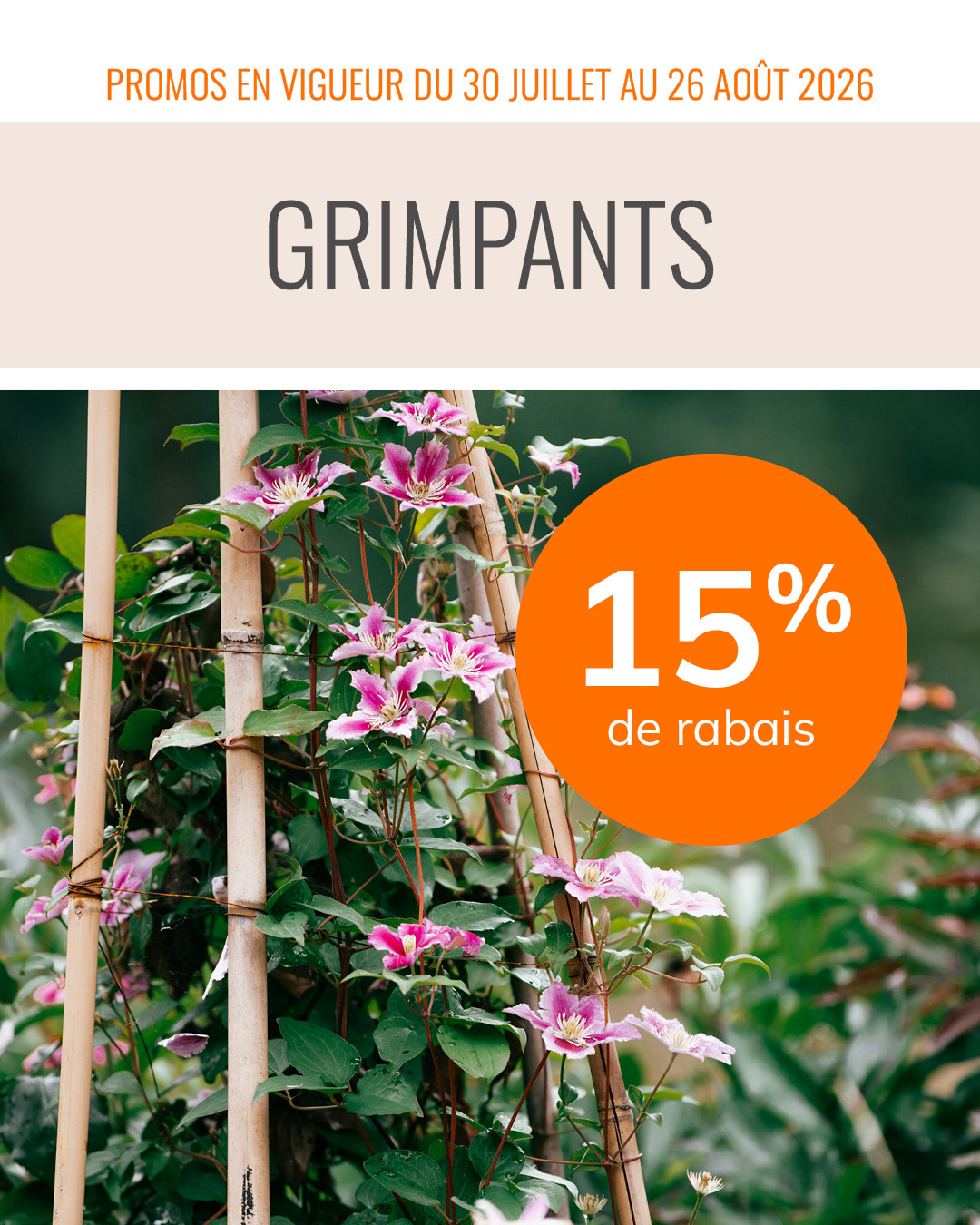 promo-30-juillet-26-aout-grimpants
