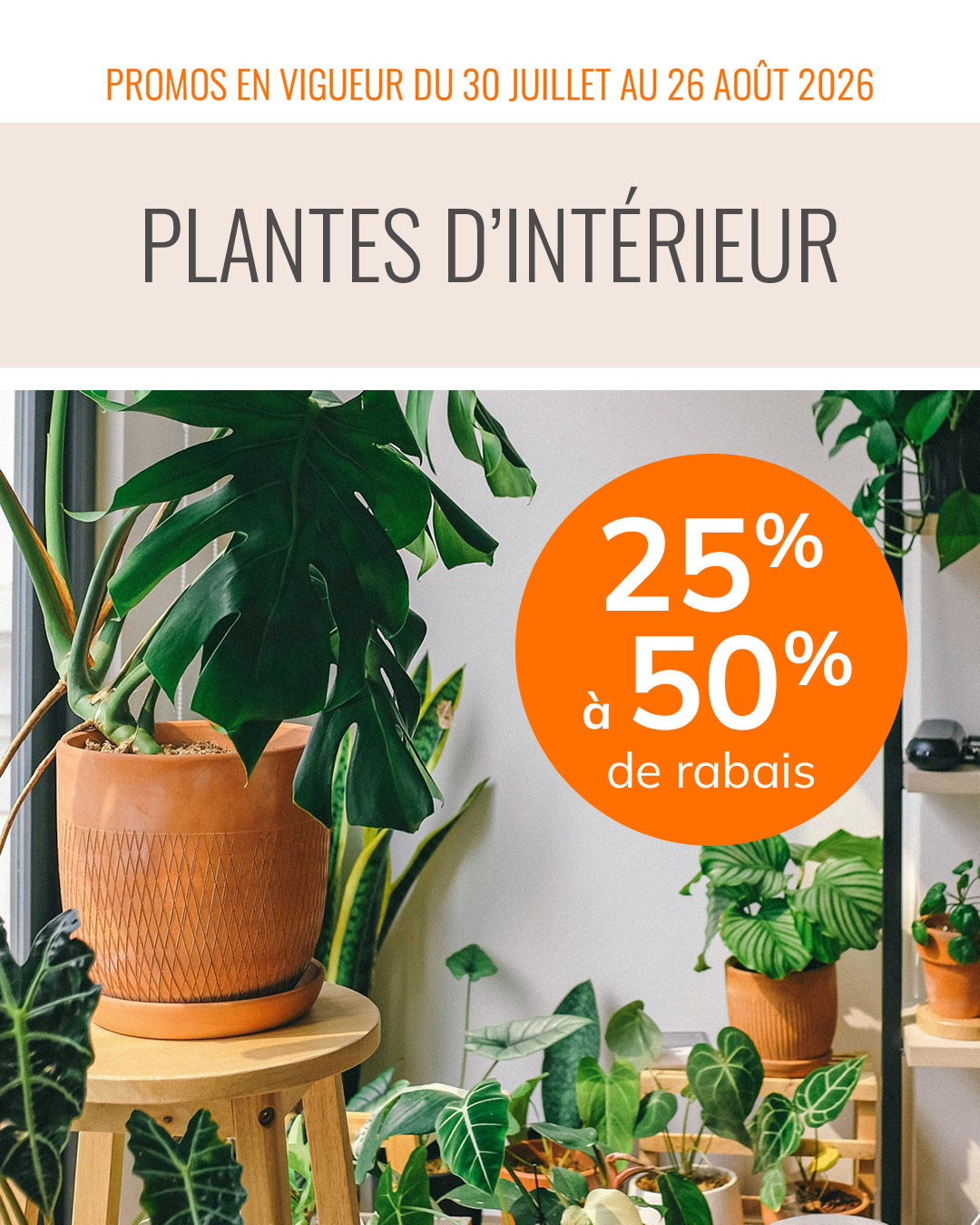 promo-30-juillet-26-aout-plantes