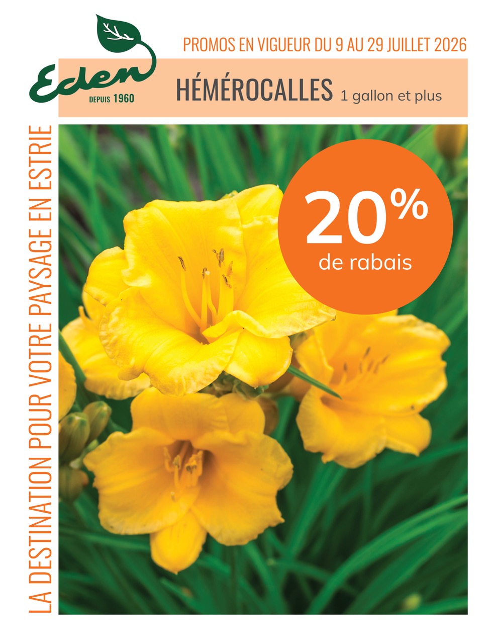 promos-9-29juilletJardinEden-hemerocalles