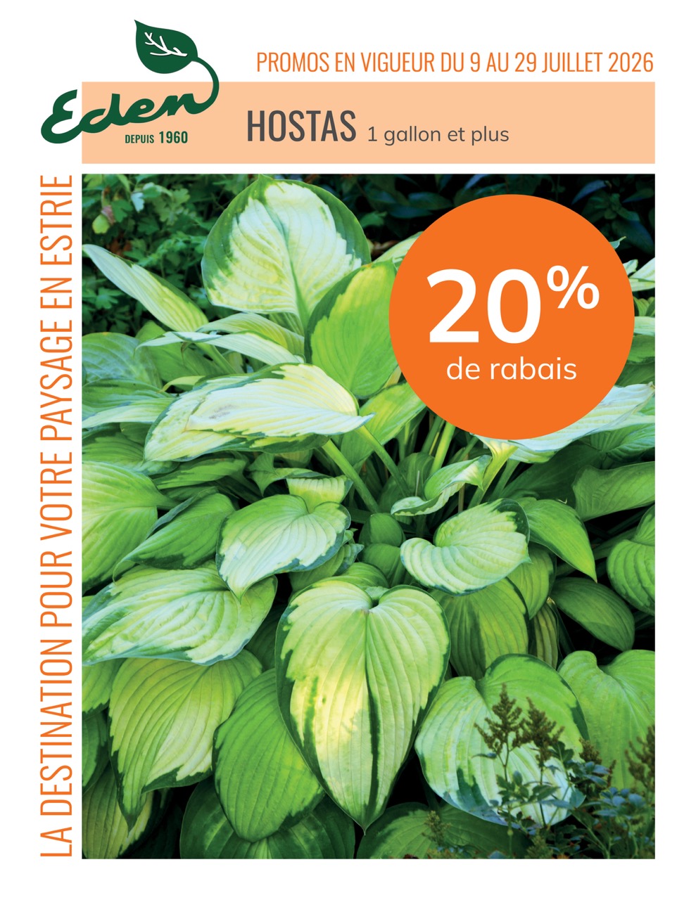 promos-9-29juilletJardinEden-hostas