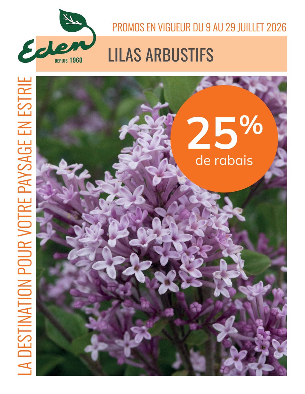 promos-9-29juilletJardinEden-lilas-arbustifs