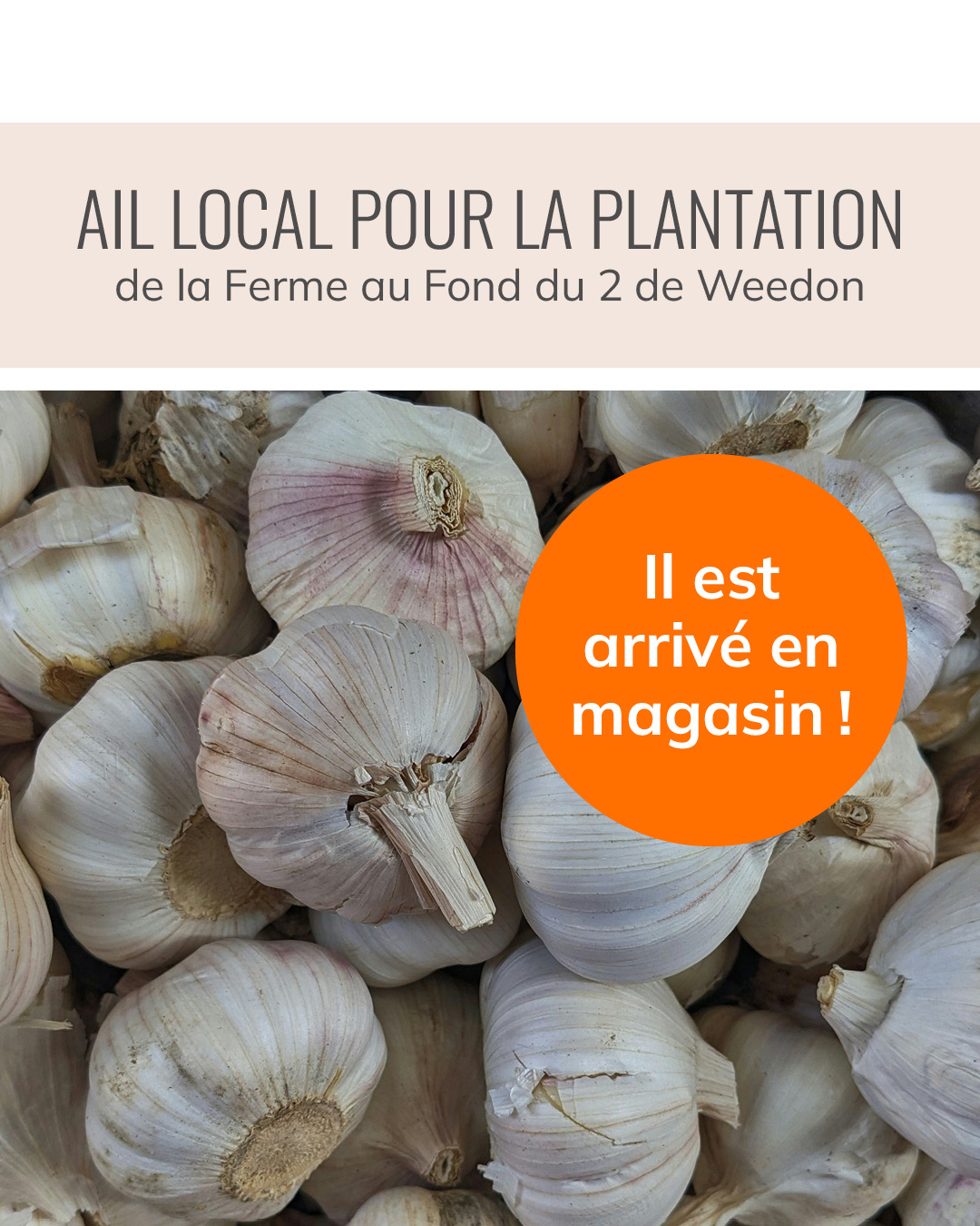 promos-27aout-ail