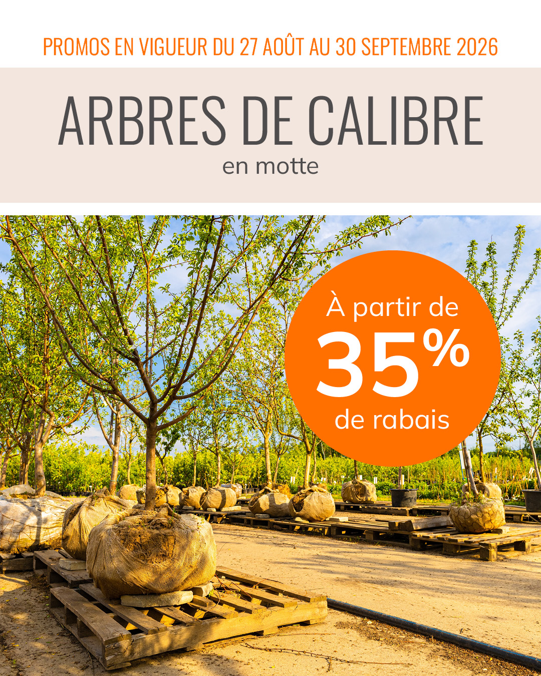 promos-27aout-arbres-calibre