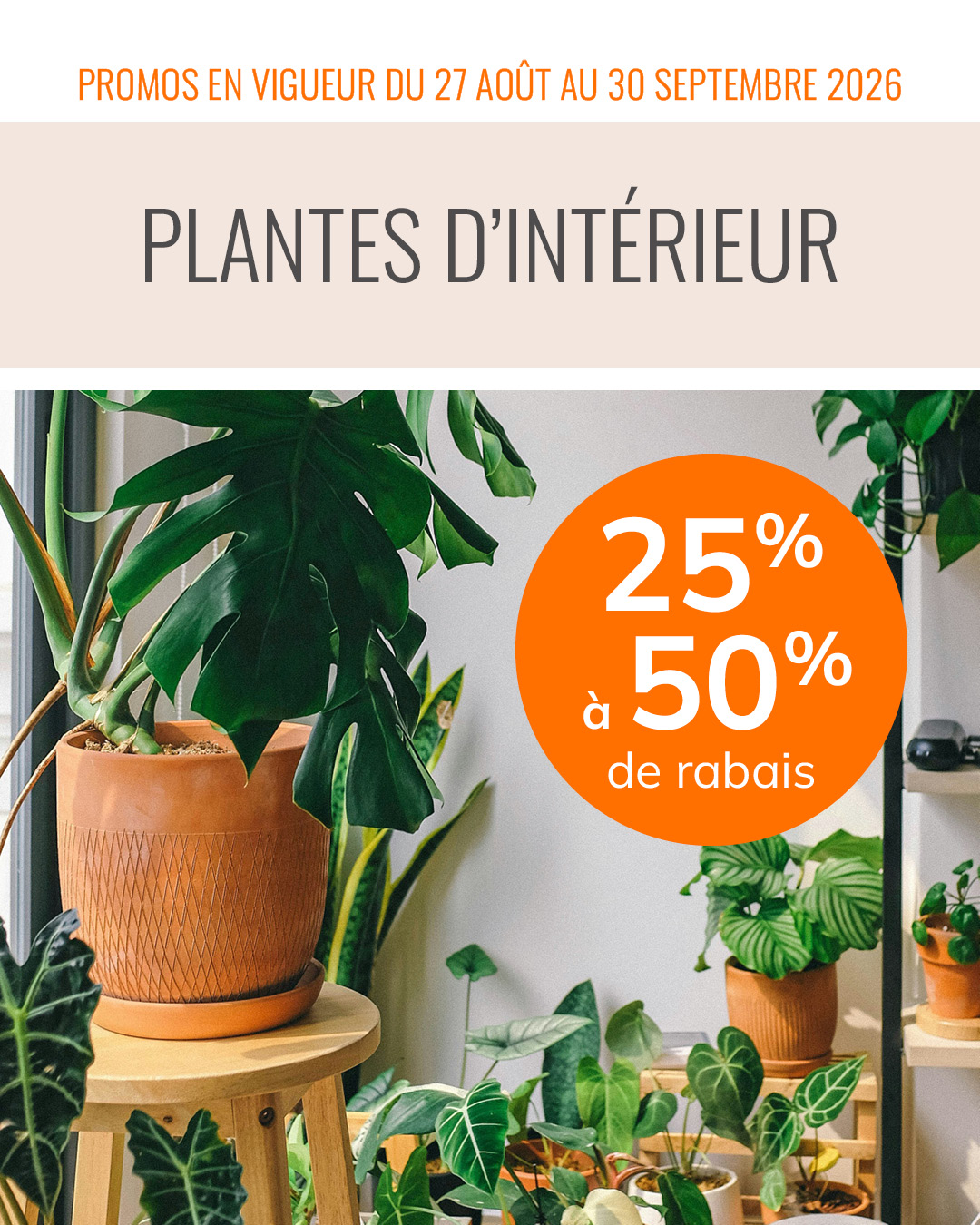 promos-27aout-plantes