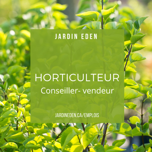 Conseiller- vendeur