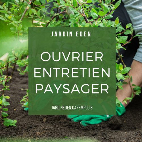 Eden_entretien_paysager
