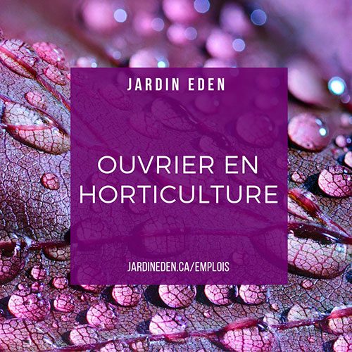 Eden_ouvrier_horticulture
