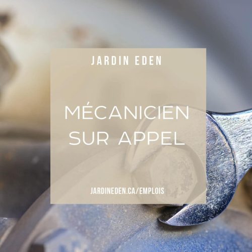 emploi-mecanicien