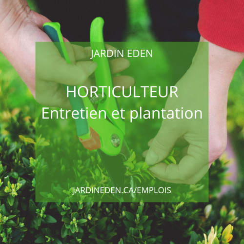 JARDIN EDEN HORTICULTEUR ENTRETIEN
