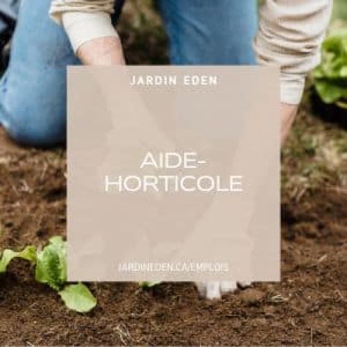 photos emplois site web (2)