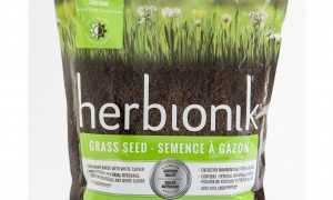 semence-herbionik semence-herbionik